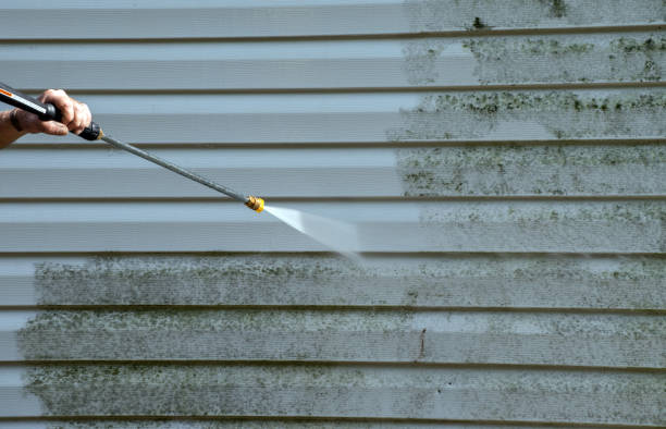 House Washing & Siding